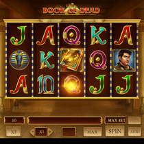 BitKingz - Book of Dead Slot Game - Play'n GO Pokie